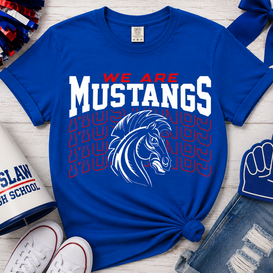 MUSTANG BLURRY VISION